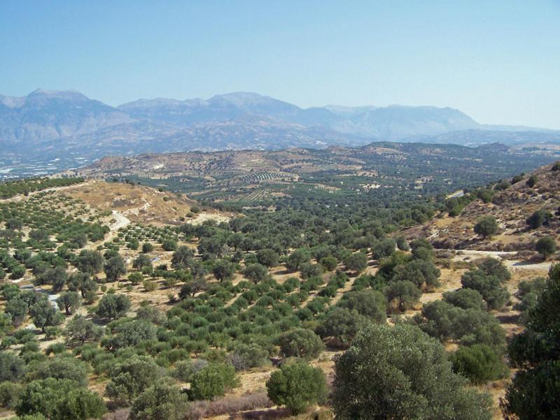 Villas Alexandros Каламаки Стая снимка
